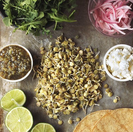 Tacos aux lentilles germées avec roquette et feta