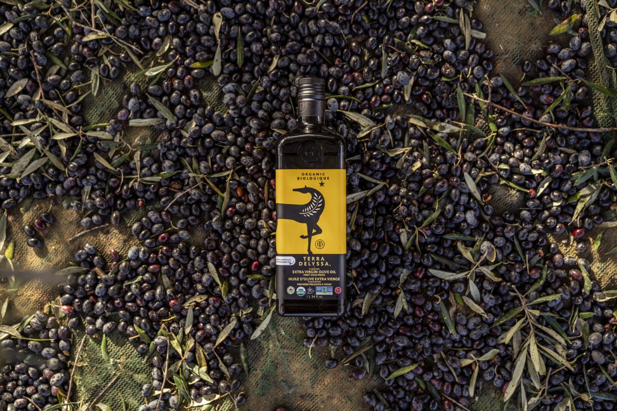 How We Make TERRA DELYSSA Olive Oil