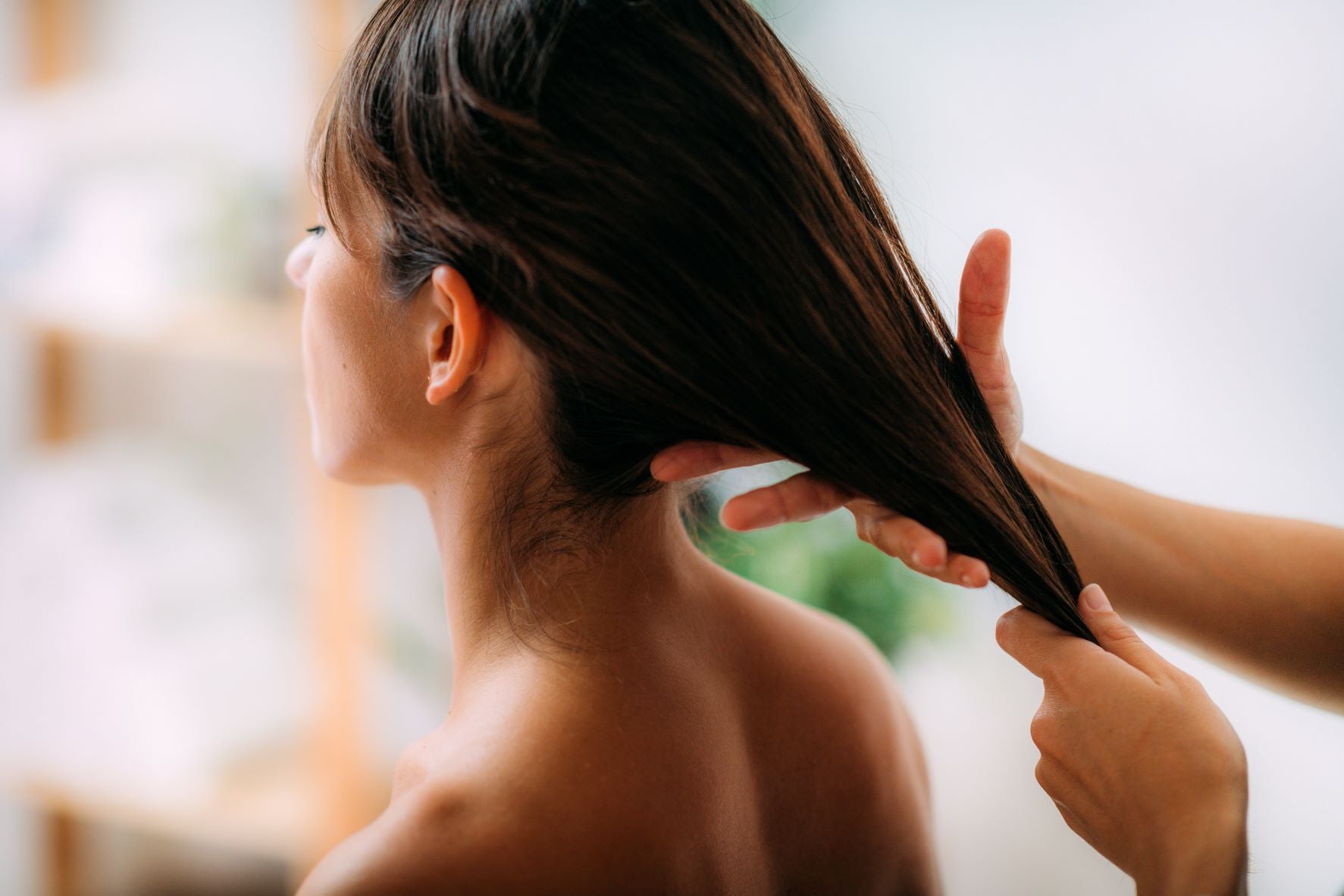 How To Test Hair Elasticity  Stop hair breakage, Hair breakage, Diy hair  treatment