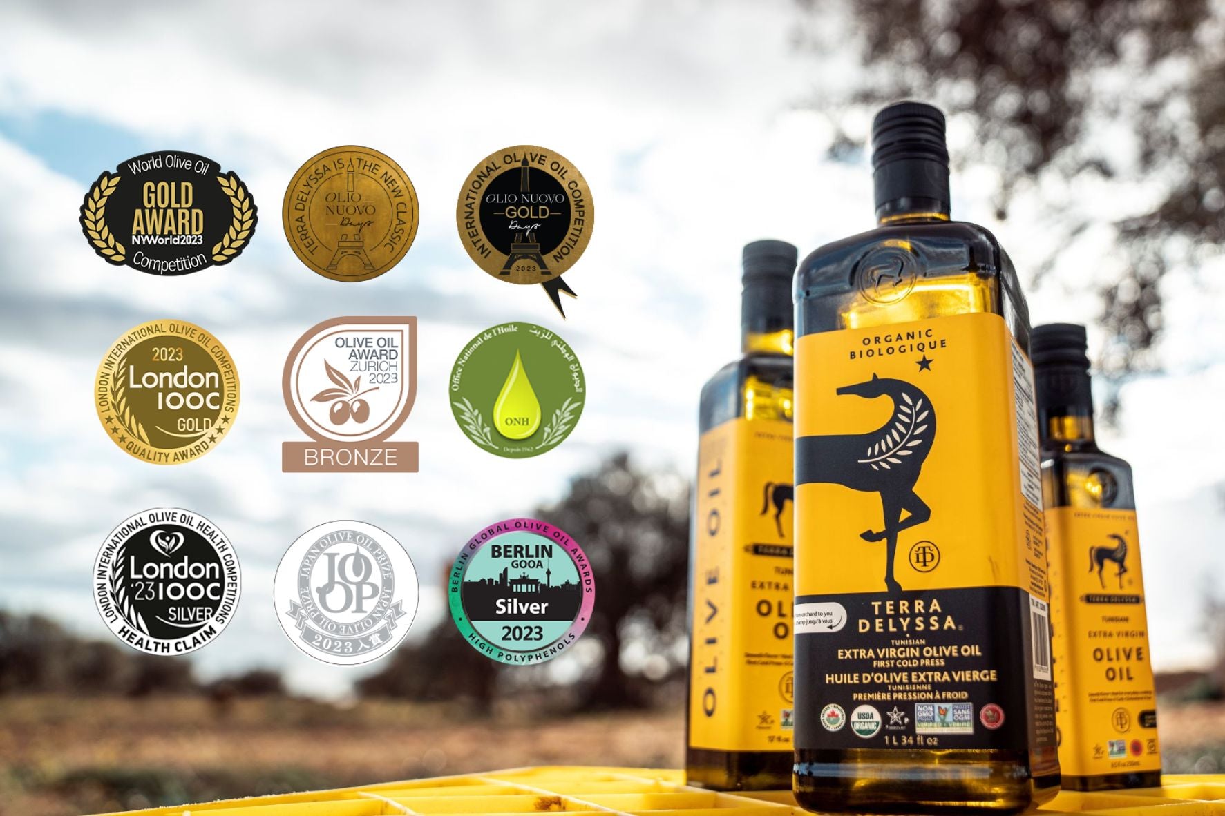 Terra Delyssa Olive Oil Celebrates a Harvest of Awards: A Tribute