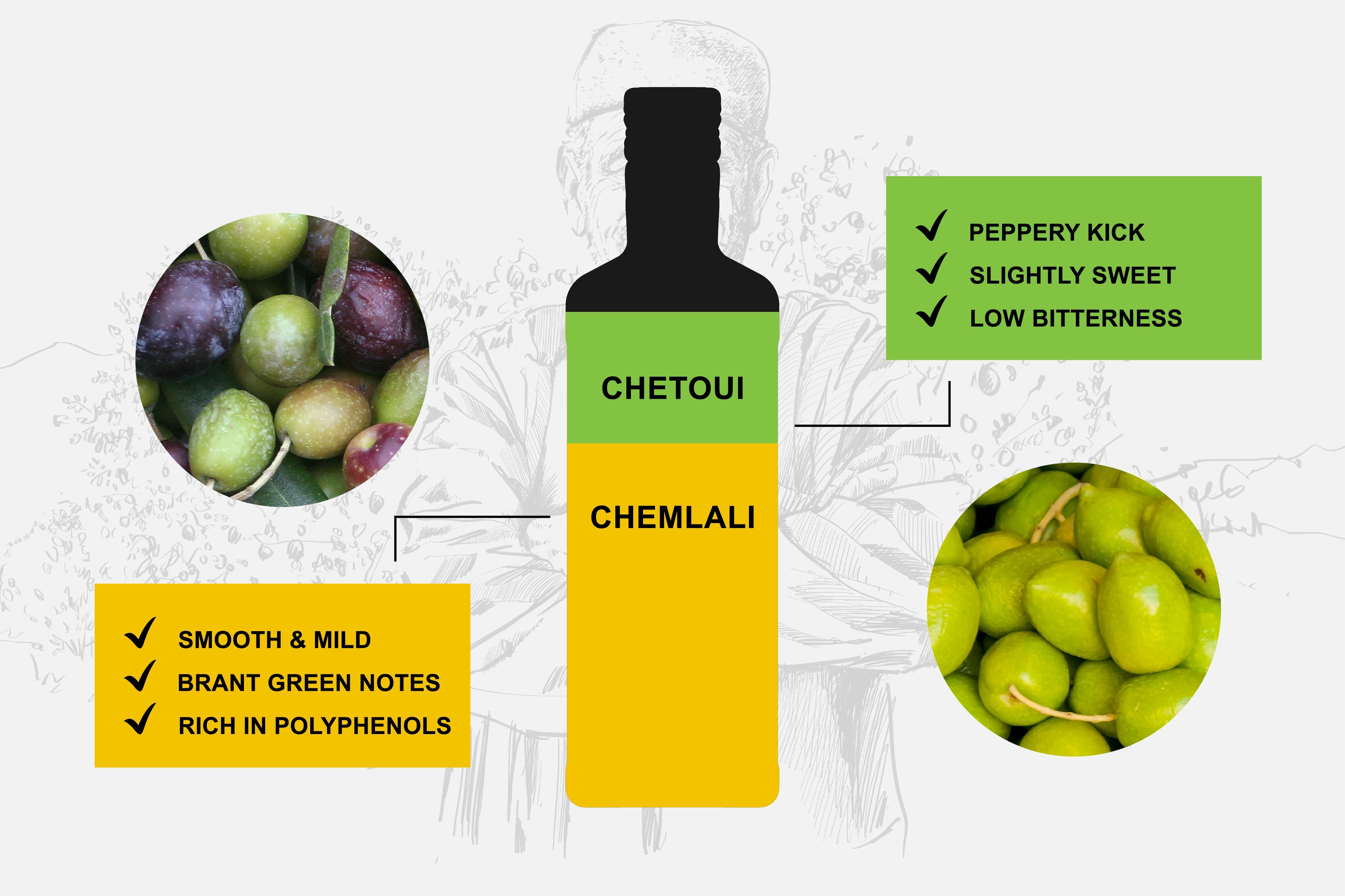 Tunisian Olive Oil: Chemlali, Chetoui, and Terra Delyssa's
