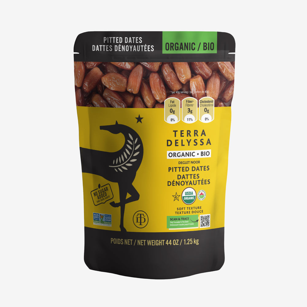 テキサス州オデッサ隕石、55 gr. テラデリッサ | TERRA DELYSSA US